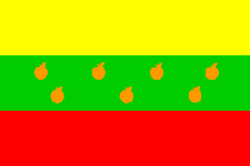 De vlag van de Gemeente 's-Gravendeel
