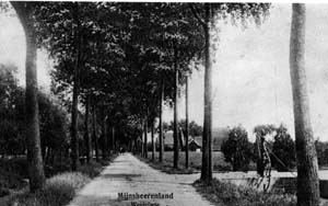 Raadhuislaan rond 1915